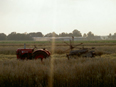 Bekijk de foto